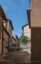 urbino